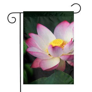 SKU-15-Beautiful Lotus